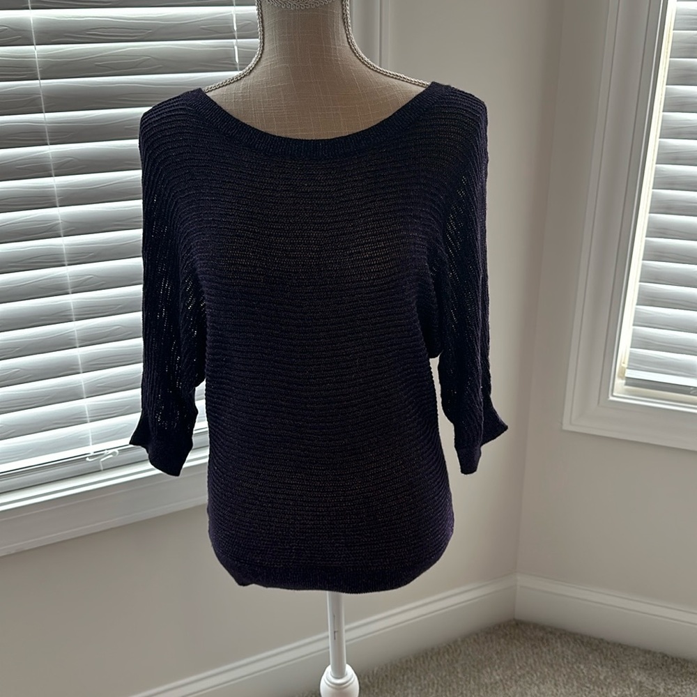 Express see through sweater